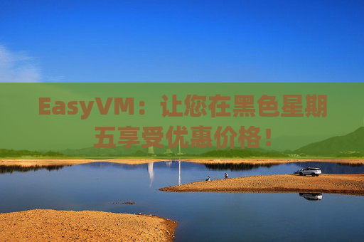 EasyVM：让您在黑色星期五享受优惠价格！