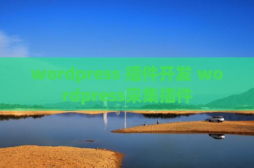 wordpress 插件开发 wordpress采集插件