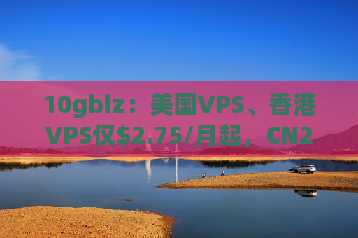 10gbiz：美国VPS、香港VPS仅