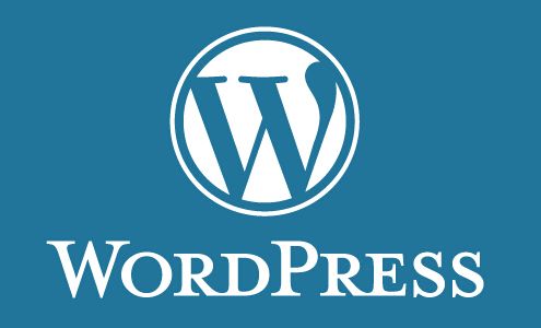 《最新WordPress 5.6版本下载指南：步骤、功能与优化》